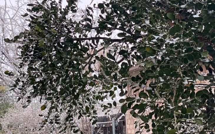 Snowmageddon 2020 New Year's Eve (LIVE! Photo/Yantis Green)