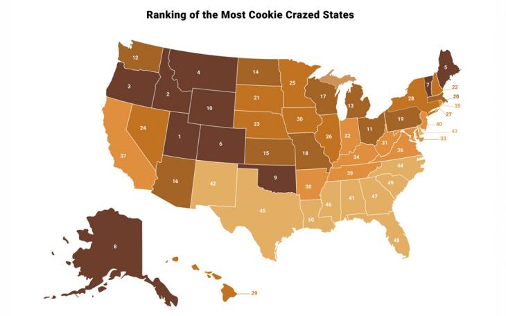 Cookie Report - TOP Agency