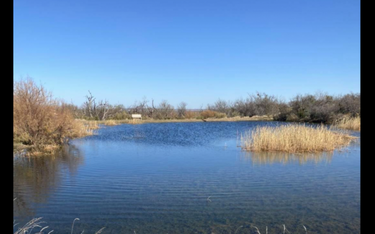 300 Trout Stocked at State Park