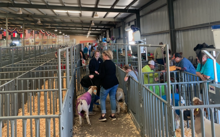 Barns Open for the 2021 San Angelo Livestock Show