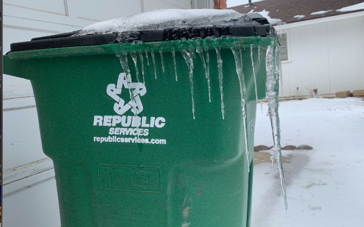 Frozen Republic Trash Can