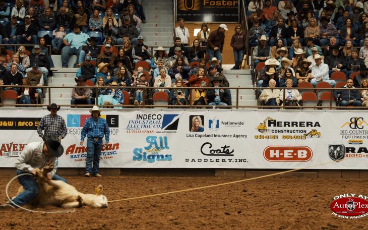 Tie-down roping at the 2021 San Angelo Rodeo