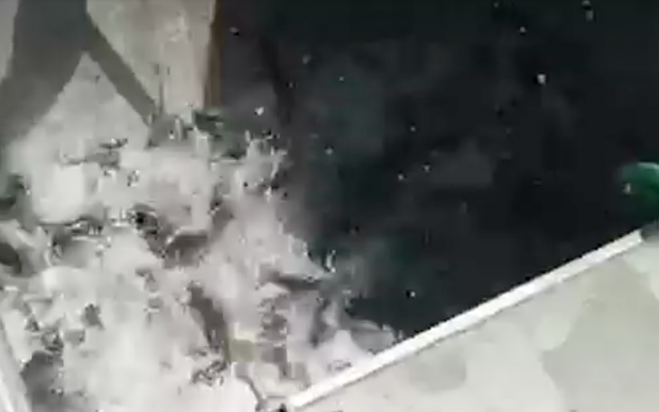 Catfish Being Stocked Into the Concho River