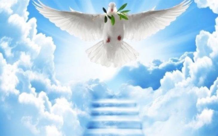 GoFundMe for Valenzuela Family