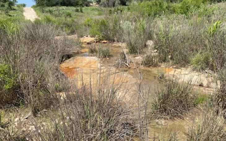 Water Flowing in the N. Concho River (LIVE! Photo/Yantis Green)