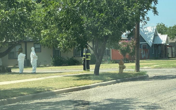 Bees Shut Down San Angelo Neighborhood (LIVE! Photo/James Bouligny)