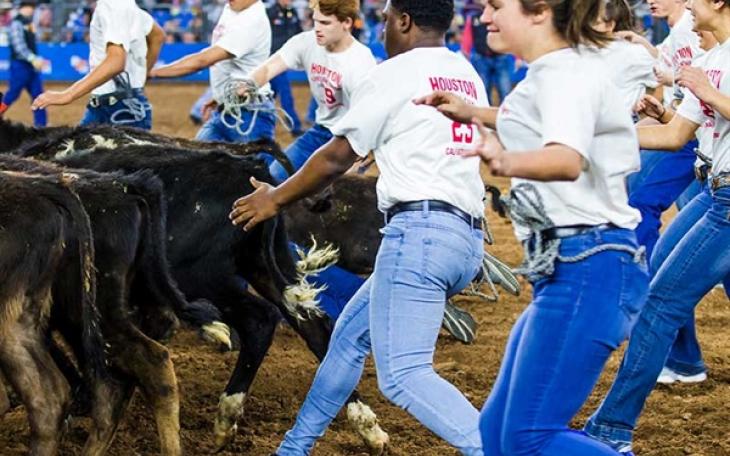 Rodeo Houston Calf Super Scramble 2022 (Contributed/RodeoHouston)
