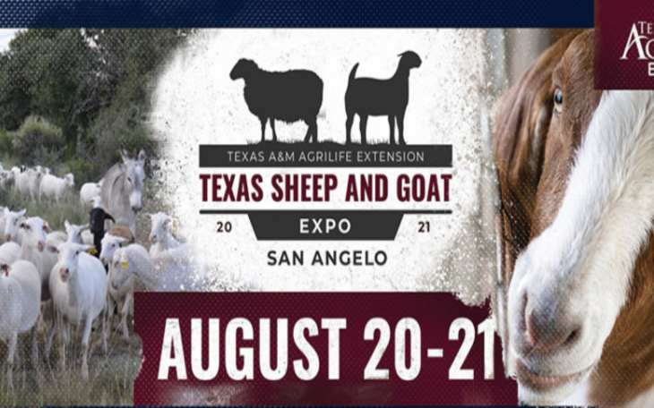 Texas Sheep and Goat Expo