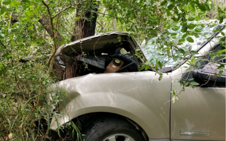 Illegal Alien Crashes Vehicle into Tree (Contributed/CBP)