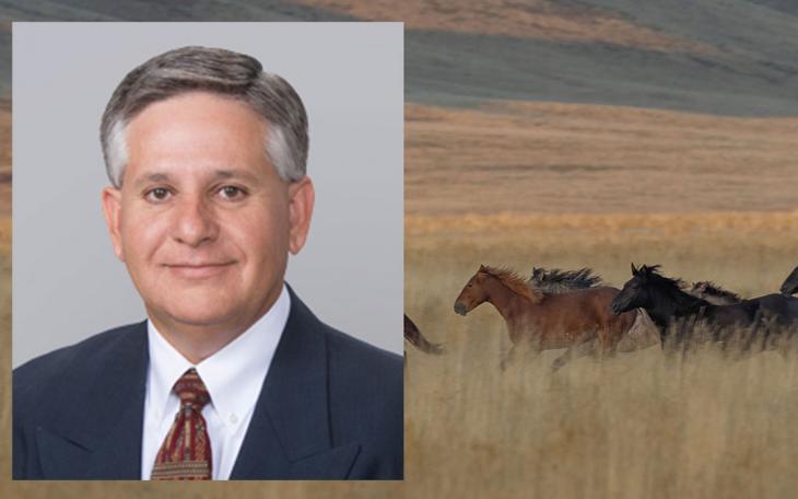 Stephen Franco was promoted and named an Executive Vice President and will serve as Chief Operating Officer at Sonora Bank.