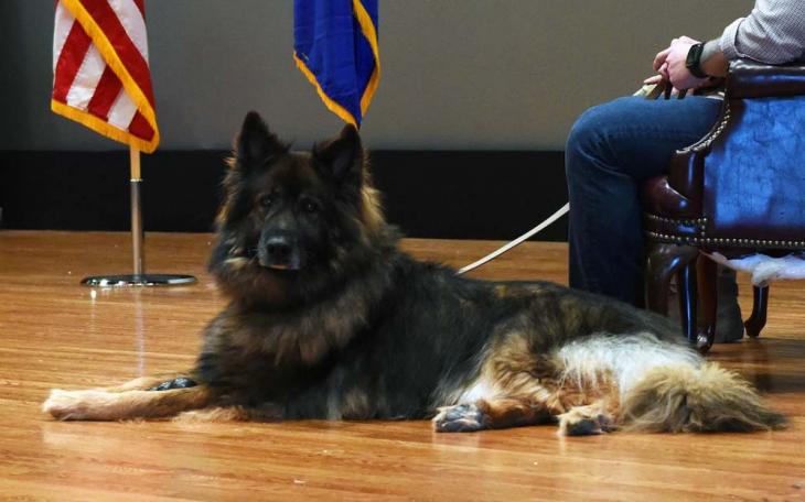 Nero | Dyess Ar Force Base