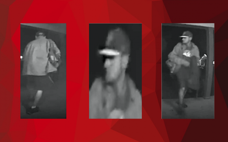 Wanted Theft Suspect