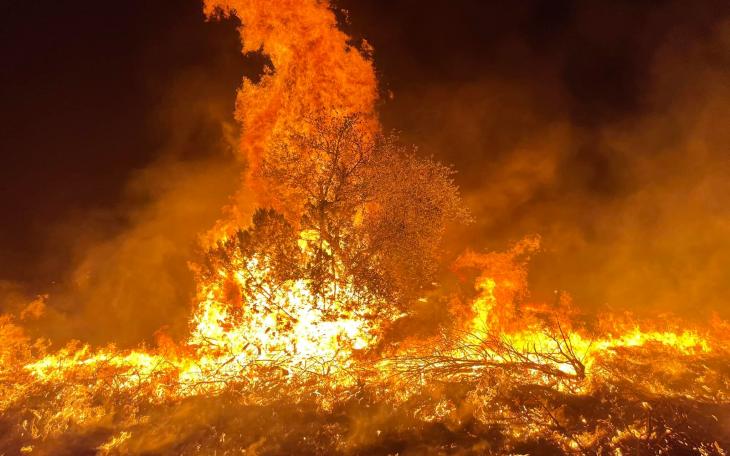 TAMFS Wildfire Photo May 17, 2022 (Contributed/C. Lambert/TAMFS)
