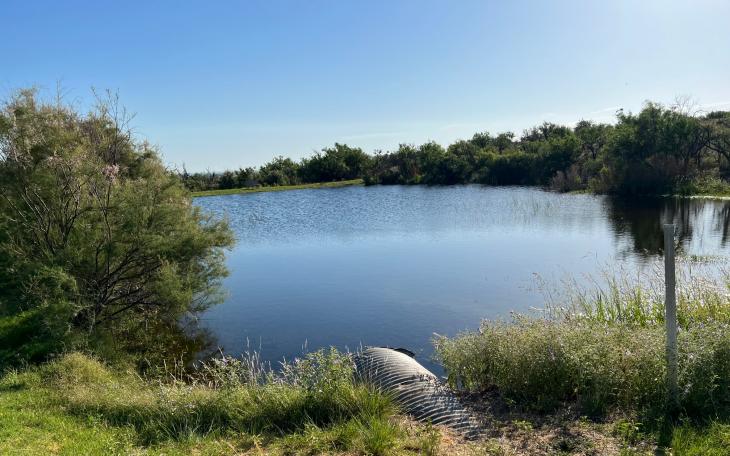 Javalina Pond San Angelo State Park June 2022 (LIVE! Photo/Yantis Green)