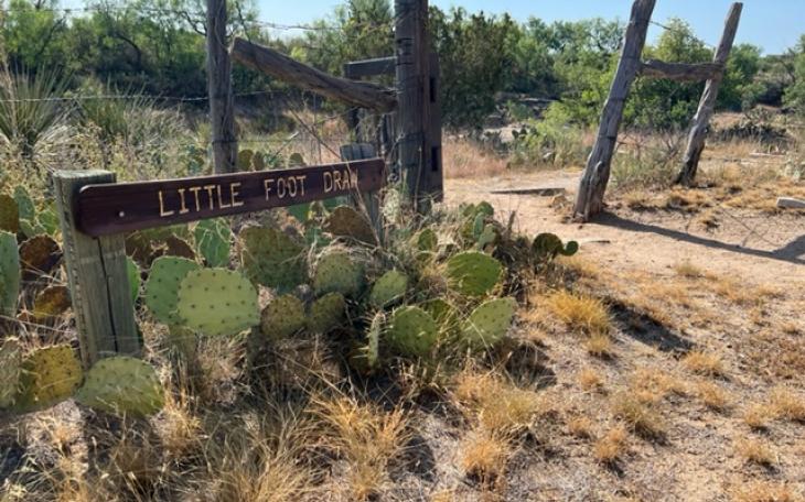 Little Foot Draw Permian Tracks San Angelo State Park (LIVE! Photo/Yantis Green)