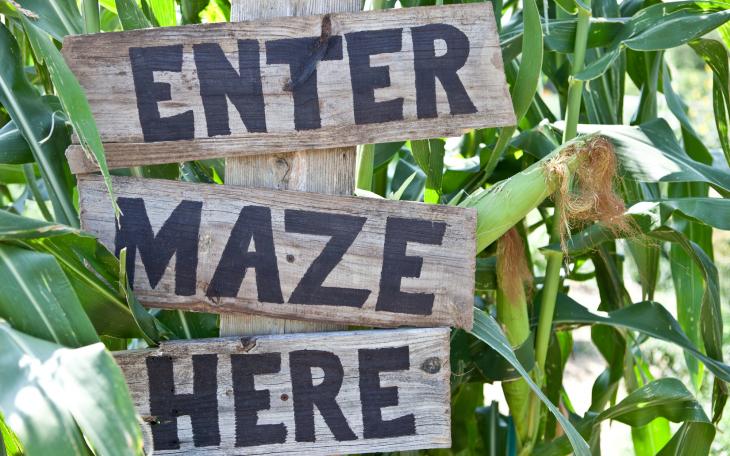 Corn Maze