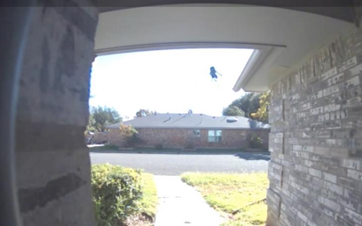 Yellow Jacket Wasp Ring Doorbell Camera Attack (LIVE! Photo/Yantis Green)