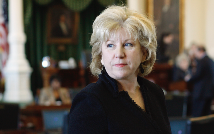 Senator Jane Nelson Named Secretary of State (Courtesy/google)