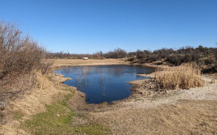 Javelina Draw San Angelo State Park 1.18.23 (Courtesy SASP)