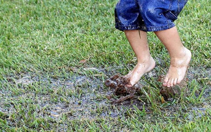 Mud Puddle Biden Wants to Regulate from Washington (Courtesy/Persil)