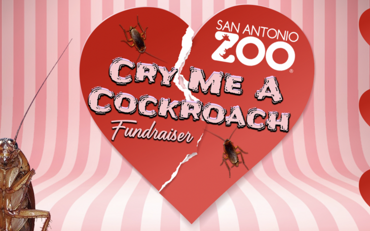 Cry Me A Cockroach Fundraiser