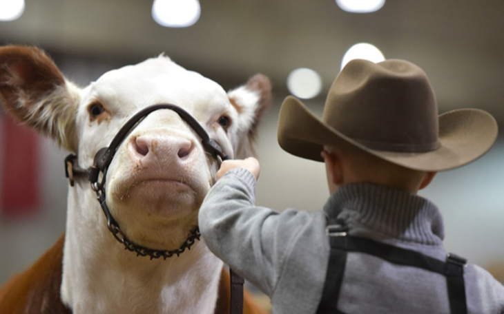 San Angelo Stock Show