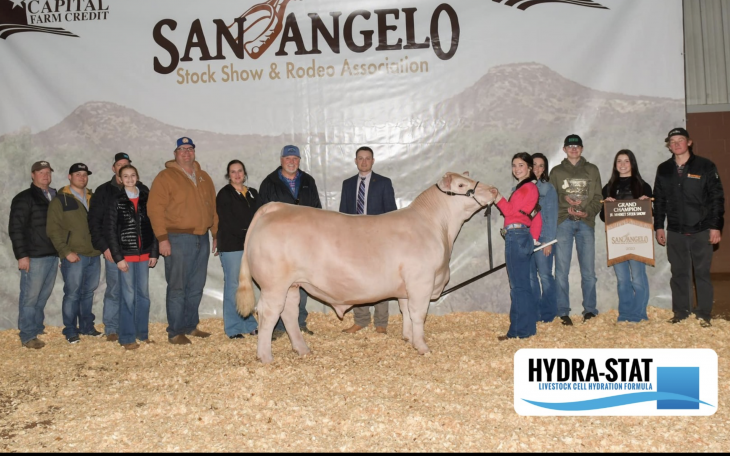 Berkley Bird - 2023 San Angelo Market Steer Grand Champion