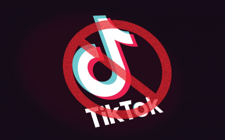 Texas Bans TikTok (Courtesy/techcrunch)