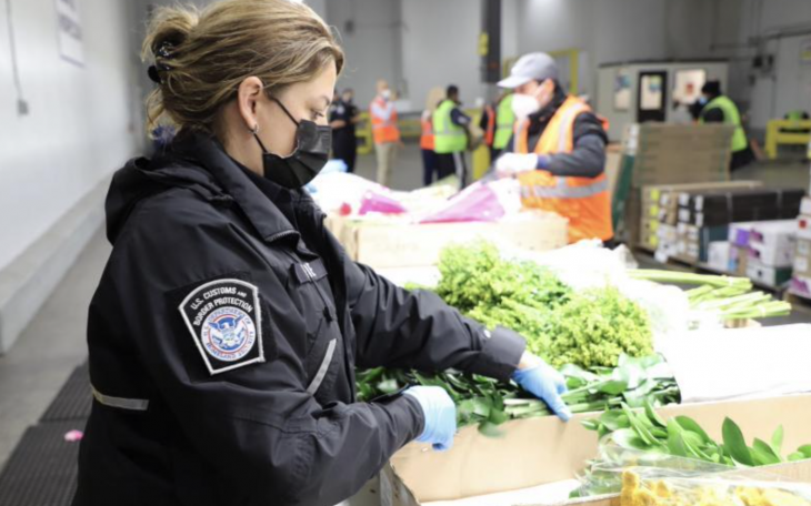Valentines Day Flowers Inspection (Courtesy/CBP)