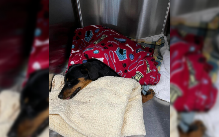 4th Dog from Riverbend Estates