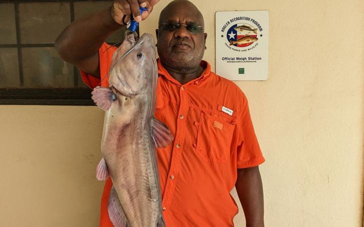 Captain Michael Peterson's Catfish (Courtesy/Inland Fisheries)