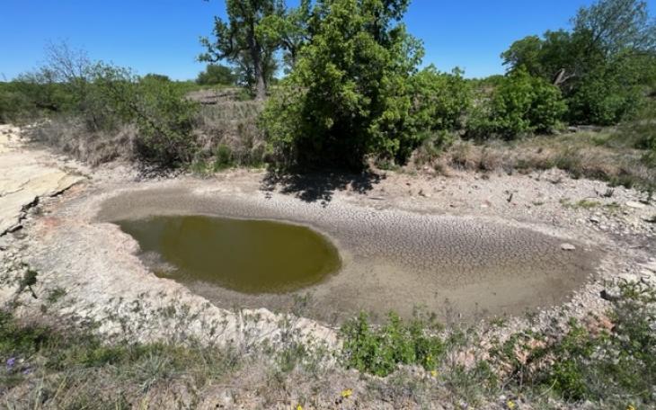 N. Concho River Bed Bald Eagle Creek 4.30.23 (LIVE! Photo/Yantis Green)