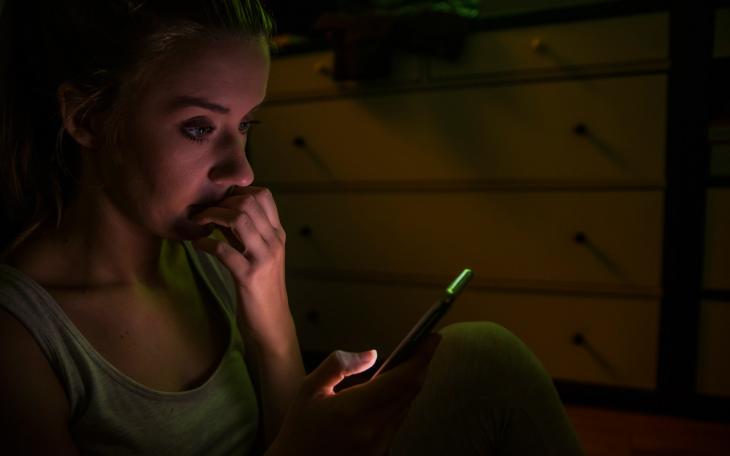 Revenge Porn is a Crime (Courtesy/Panda Security)