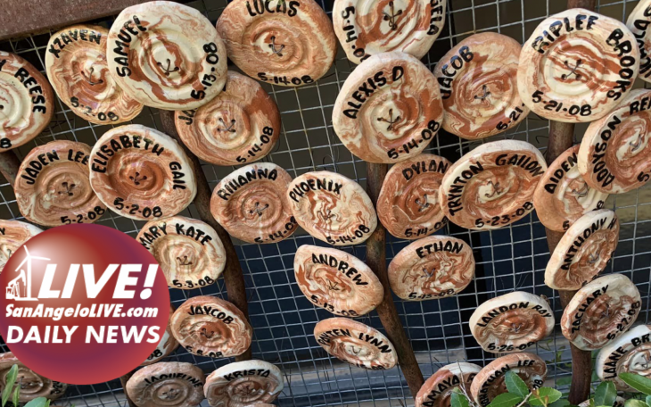 LIVE! Daily News | Social Media Lie: Shannon is Going to Throws Away your Baby Buttons