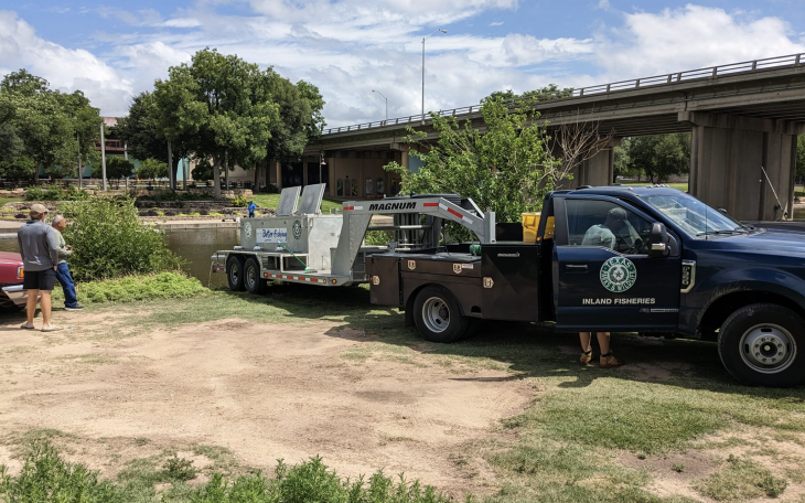 Inland Fisheries Stocks the Concho River