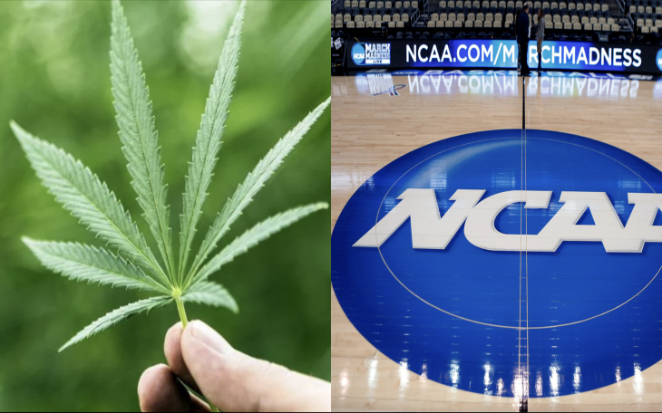 NCAA and Cannabis