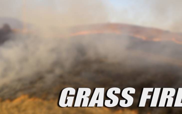 Grass Fire