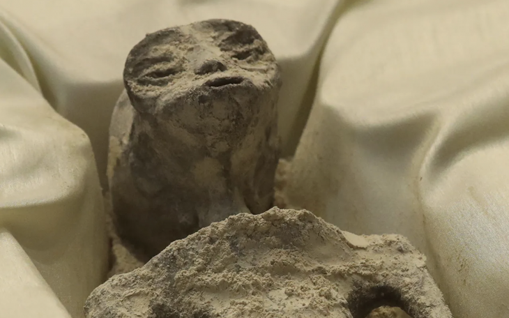 Mummified Non Human Being