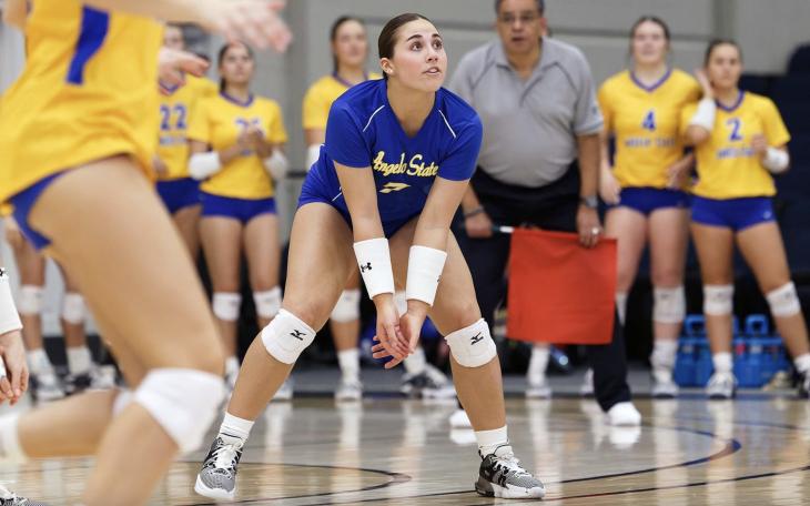 Angelo State Belles Ireland Ferguson