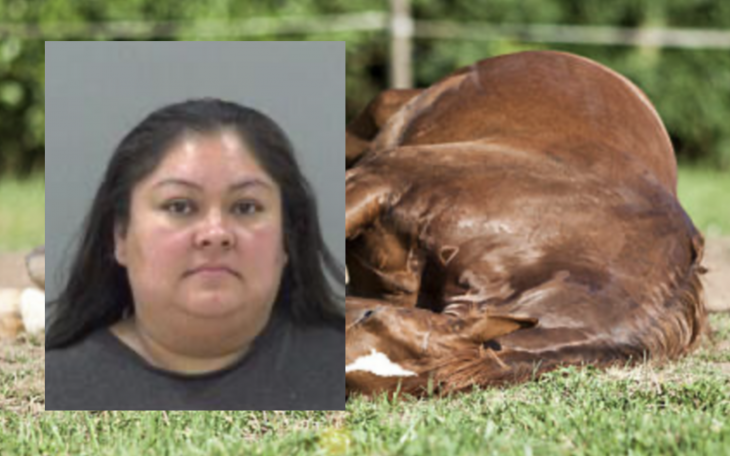 Crystal Cabrera, 36, of San Angelo, Arrested