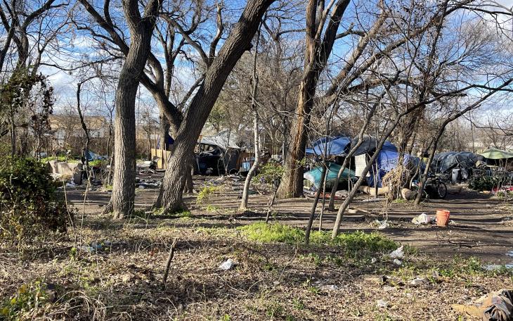 Huge Trees Throughout the Camp