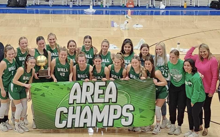 Wall Lady Hawks move on after beating City View in the Area Round