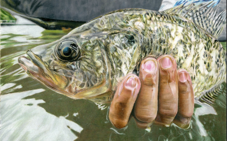 Mia Macias 1st Place Fish Art TPWD 2024 (Courtesy TPWD)