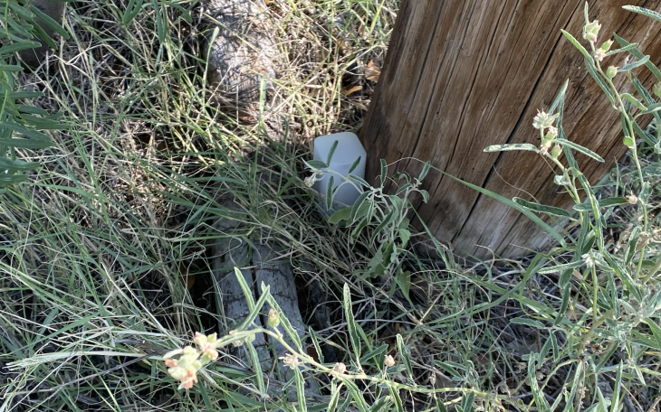 Search for Silver June Location