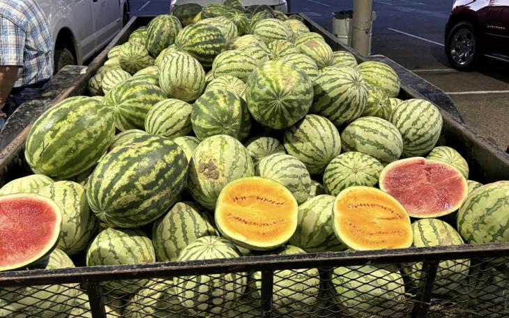 Concho Valley Farmer's Market Melon Fest