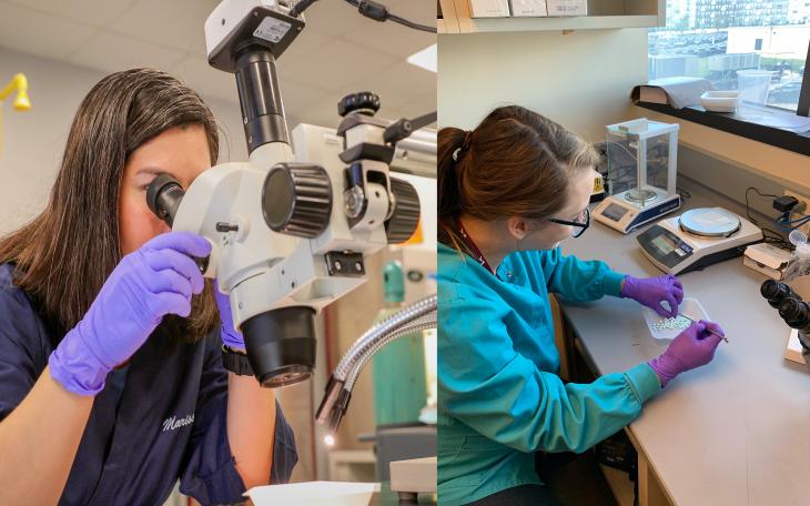 DPS Highlights Crime Laboratory Division During National Forensic Science Week