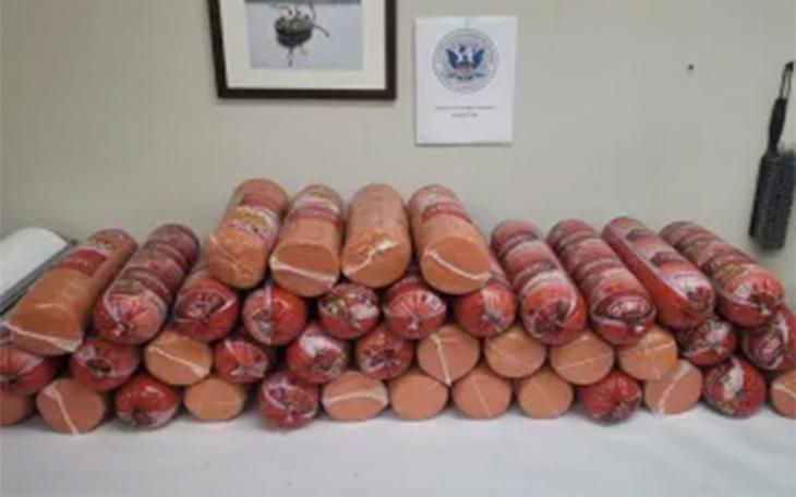CBP Officers make huge bologna and prescription drug bust at Presidio port
