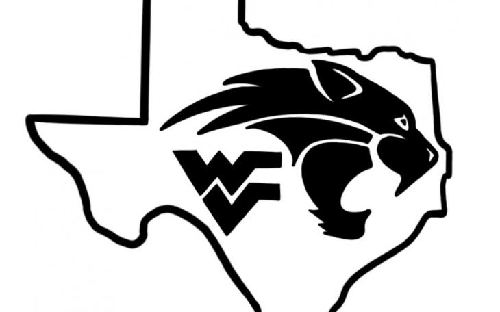Water Valley Wildcats logo