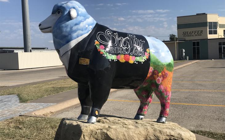 “Peaceful Ewe” is displayed in front of Shaffer Funeral Home at 1939 Sherwood Way. The fiberglass sheep was designed by local artist Zoe Flores.