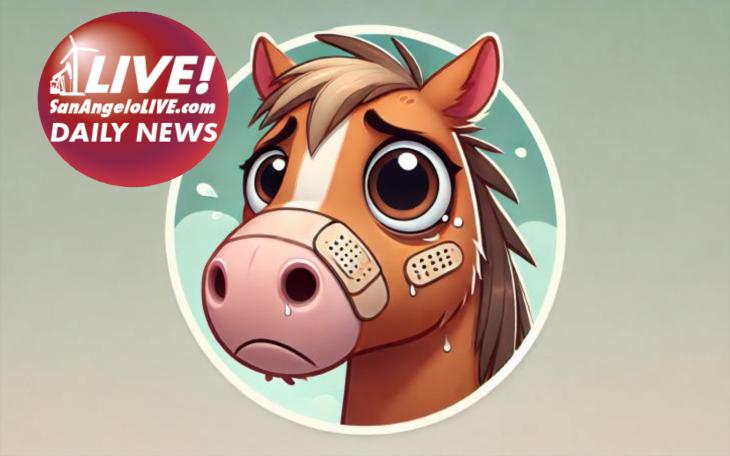 LIVE! Daily News | Rodeo Association Sued &amp; Abused Horses